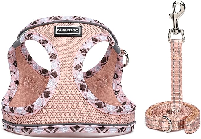 Mercano Soft Mesh Dog Harness and Leash Set, Step-in Reflective Breathable Lightweight Vest Harnesses with Safety Buckle for Small Dogs, Cats (Champagne, L)