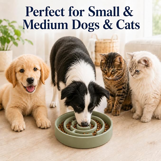 Ceramic Slow Feeder Dog Bowls with Anti-Slip, Slow Feeder & Non-Slip Design, Boredom and Anxiety Reducer, Suitable for All Breed Dogs and Cat (Ceramic-Green)