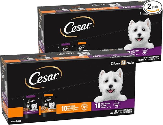 Cesar Filets in Gravy Wet Dog Food Filet Mignon Flavor and Rotisserie Chicken Flavor Variety Pack, Wet Food for Dogs, 1.76 oz. Mini-Pouches, 20 Count (Pack of 2)