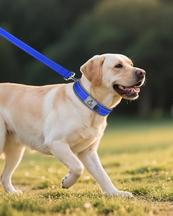Joytale Dog Collar for Large Dogs, Neoprene Padded and Adjustable, Reflective Wide Heavy Duty Pet Collars with Durable Metal Belt Buckle for Walking, Navy Blue, L