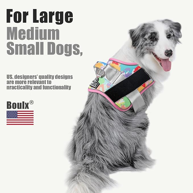 Dog Harness, No-Pull Reflective Dog Vest, Breathable Adjustable Pet Harness with Handle for Outdoor Walking - No More Pulling, Tugging or Choking (Large (Pack of 1), OilPainting)