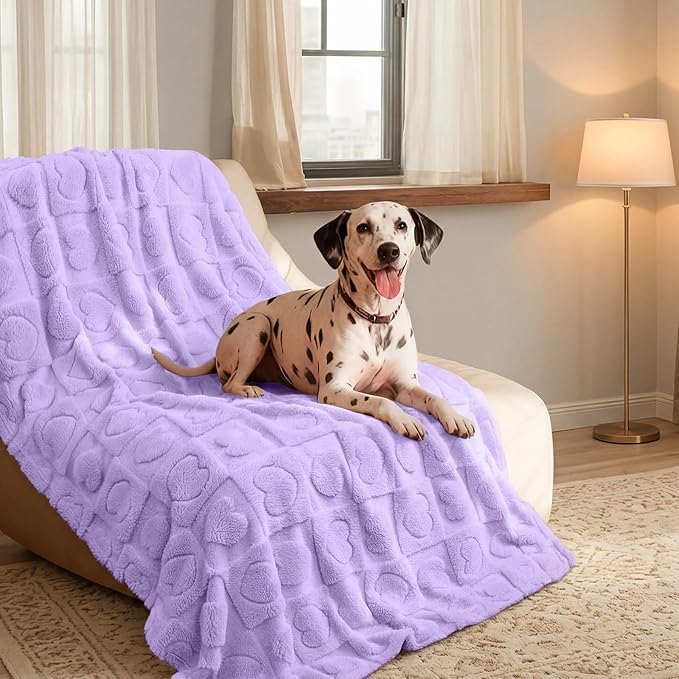 Luciphia 1 Pack 2 Small Dog Blanket Washable Pet Bed Cover Soft Fluffy Puppy Blanket with Premium Fleece 300GSM Cozy Calming Cat Blankets for Indoor Cats Pink/Purple 30x20 inch