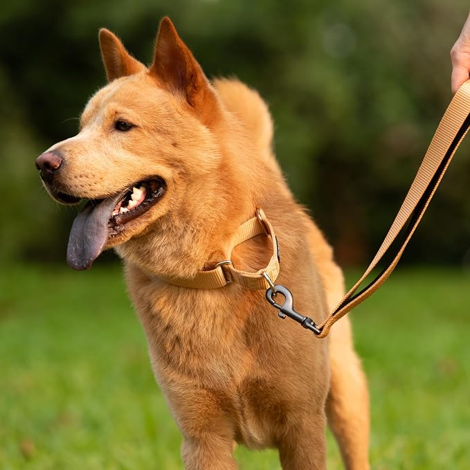 Hyhug Martingale Dog Collar Medium Clay |Escape - Proof Heavy Duty Nylon Durable No Slip, Ideal for Training & Daily Walks