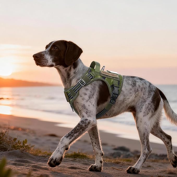 rabbitgoo Dog Harness Medium Sized No Pull, Tactical Service Pet Vest with Molle and Control Handle, Adjustable and Reflective Military Harness for Easy Walking and Training, Green Camo, M