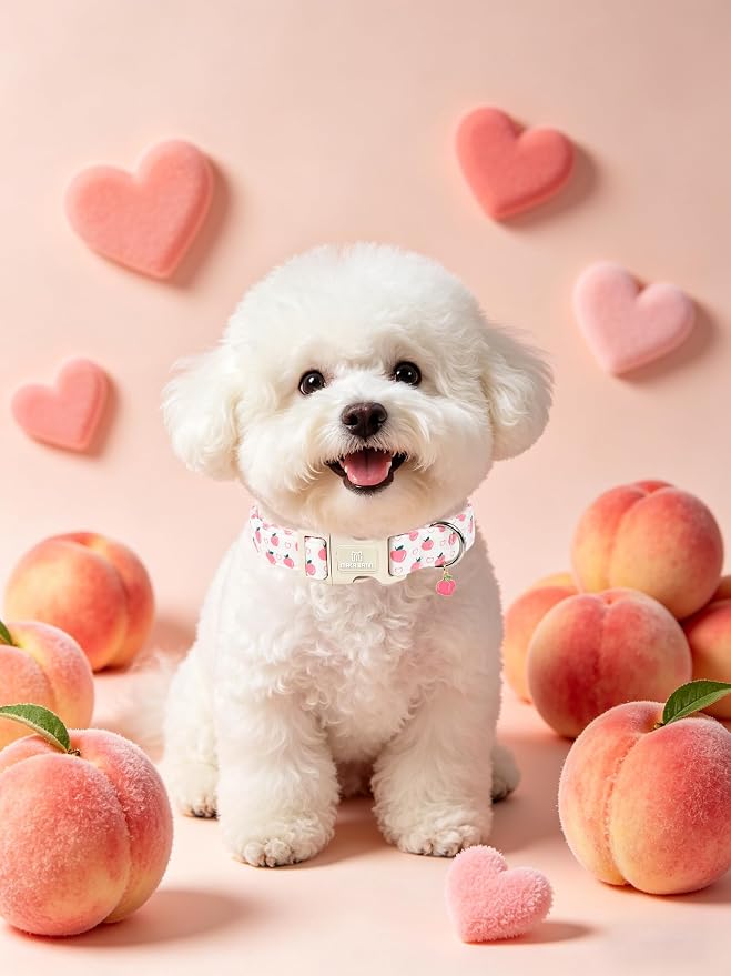 Maca Bates Basic Dog Collar with Peach Charm for Medium Girl Boy Dogs,Pink Cute Peaches Hearts Pattern,Pretty Adjustable Durable Collars,Gift for Male Female Puppy