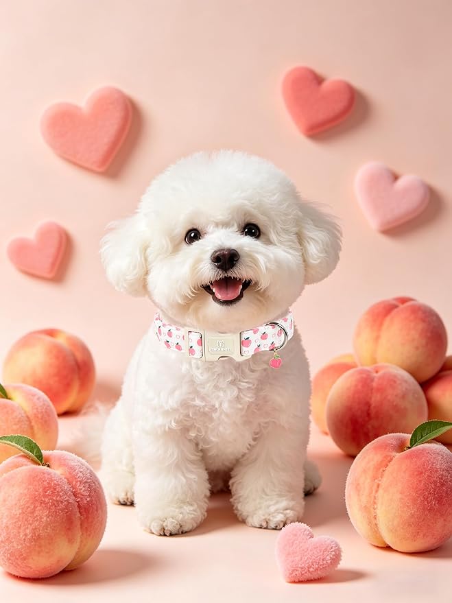 Maca Bates Basic Dog Collar with Peach Charm for Large Girl Boy Dogs,Pink Cute Peaches Hearts Pattern,Pretty Adjustable Durable Collars,Gift for Male Female Puppy