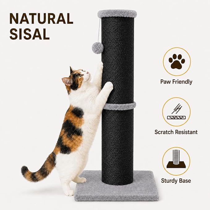PAWSCRAT Cat Scratching Post 32 Inch High, 5.5 Inch Large Diameter Natural Sisal Cat Scratch Post, Scratch-Resistant and Durable Tall Cat Scratcher for Indoor Cats, Protect Your Furniture, Black