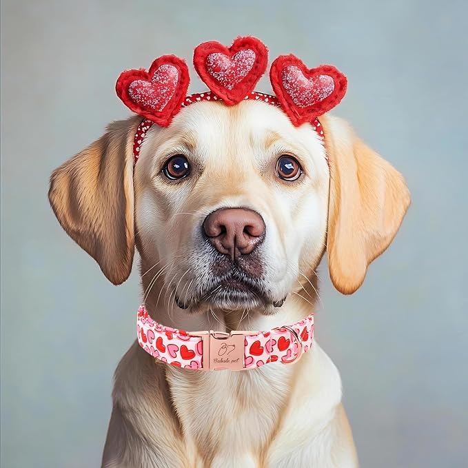 Valentines Dog Collar, Pink Heart Print Girl Dog Collars, Cute Valentine Puppy Collars, Adjustable Heavy Duty Pet Collar for Small Medium Large Dogs with Metal Buckle M
