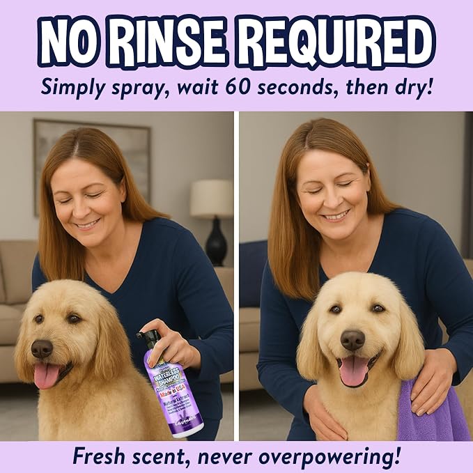 Bodhi Dog Waterless Shampoo - Natural Dry Shampoo for Dogs & Cats - Neutralizes Pet Odor - No Rinse Required - Made of Natural Extracts - Safe for Sensitive Skin - Made in USA - Lavender (8 Fl Oz)