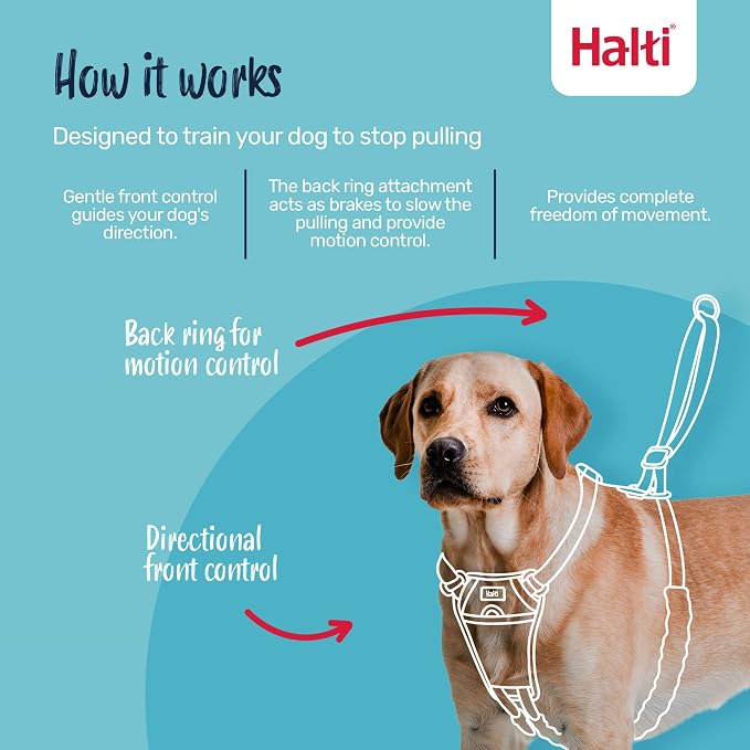 Halti No Pull Harness - Stop Your Dog Pulling on The Leash. Adjustable, Lightweight and Easy to Use. Reflective Dog Training Harness for Toy and Small Dogs (Size XS, Black)