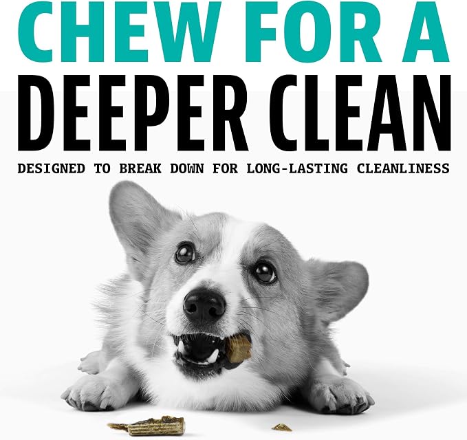 Dinovite Dental Chews for Dogs, Triple Action Dental Dog Treats for Small Breeds, Clinically Proven to Prevent Plaque & Tartar While Freshening Breath, Fresh Mint Flavor, Made in USA, 30 Count