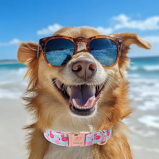Adjustable Summer Dog Collar - Cute Pink Flamingo Dog Collars for Puppy & Tiny Dogs, Durable Boy Girl Dogs Heavy Duty Metal Buckle Collar XS