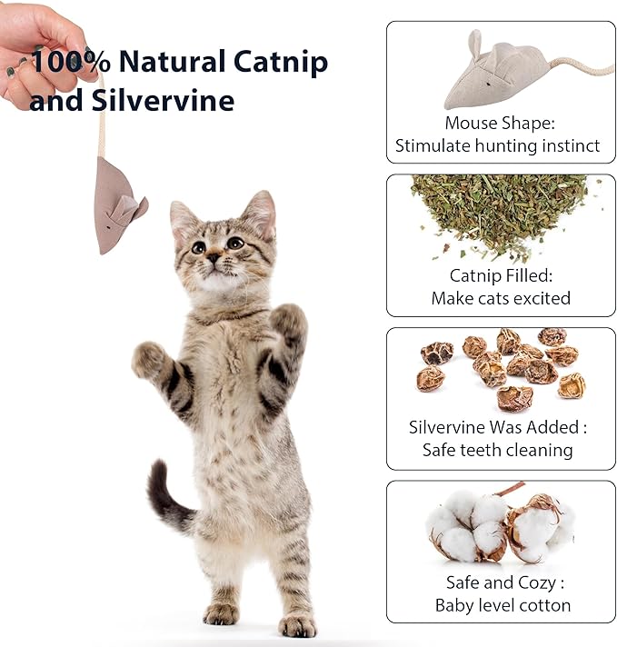 Catnip Mice Toys for Cats, 6PCS Small Interactive Fabric Mouse Toys for Indoor Adult Cats & Kittens, Encourages Chasing, Chewing, Cuddling, Kicking & Play, Kitty Exercise & Fetch Toy