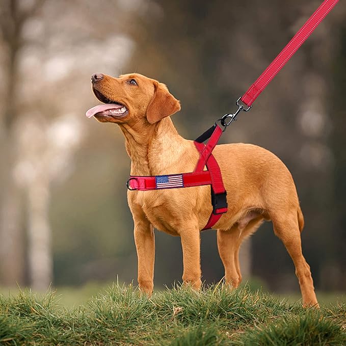 Annchwool No Pull Dog Harness with Soft Padded Handle,Reflective Strip Escape Proof and Quick Fit to Adjust Dog Harness,Easy for Training Walking for Small & Medium and Large Dogs(Red,S)