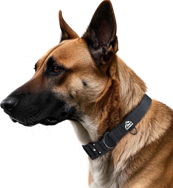 Dog Collar for Large Dogs - Adjustable, Chew Proof Nylon Collar with Metal Quick Release Buckle and D-Ring for Dog Tags (New York Afterlight, XL(1.5''Width, Fit 15''-23''))