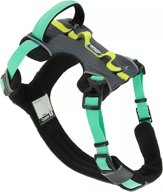 K9 Explorer® Trek Full-Coverage Dog Harness, Atlantic, Small - 16"-24"