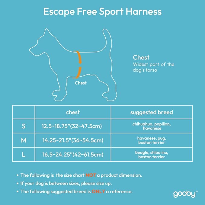 Gooby Escape Free Sport Harness - Turquoise, Small - No Choke Step-in Patented Neoprene Dog Harness with Four-Point Adjustment for Small to Medium Dogs
