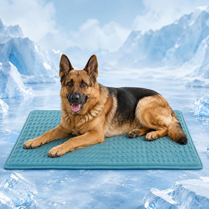 GOLOPET Newly Upgraded Large Dog Cooling Mat 34x23 in,Ice Breathable Fabric, Solid Silicone Honeycomb Heat Dissipation Structure, Long-Lasting Coolness Cooling Mat for Dogs(Q-Max>0.5)