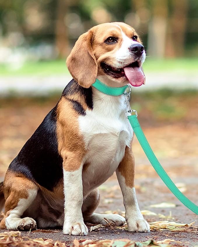 Taglory Dog Leash for Medium Large Dogs, Double-Sided Reflective for Night Walking, Neoprene Padded Handle, 1 inch by 5 ft, Heavy Duty for Medium Large Breeds 20-150 lbs, Turquoise