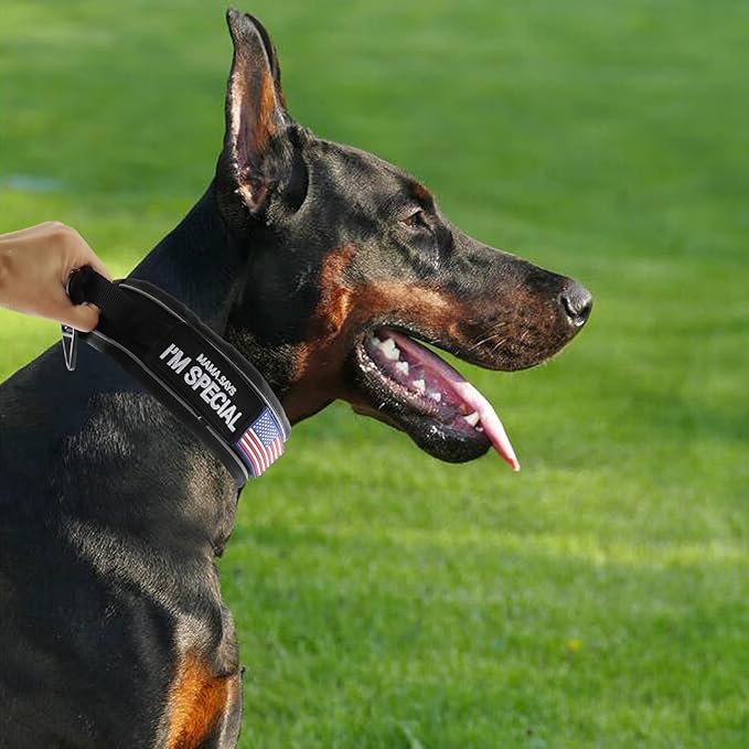 Tactical Dog Collar with Handle for Large Dogs, 2.5"Wide Thick Heavy Duty Metal Buckle Dog Collar with Soft Neoprene Padded Lining, Military Service Reflective Collar for Training(Black,L,XL)