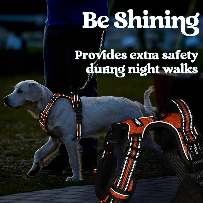rabbitgoo Dog Harness Small Sized, No Pull Easy On & Off with 3 Buckles Pet Harness, Adjustable Soft Walking Vest with 2 Clips and Handle, Reflective for Small Dogs, Orange, S