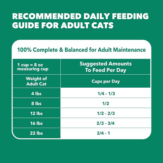 IAMS Proactive Health Senior Dry Cat Food, Cat Food Dry Chicken Recipe, Real Chicken in Every Bite, 3.5 Lb. Bag