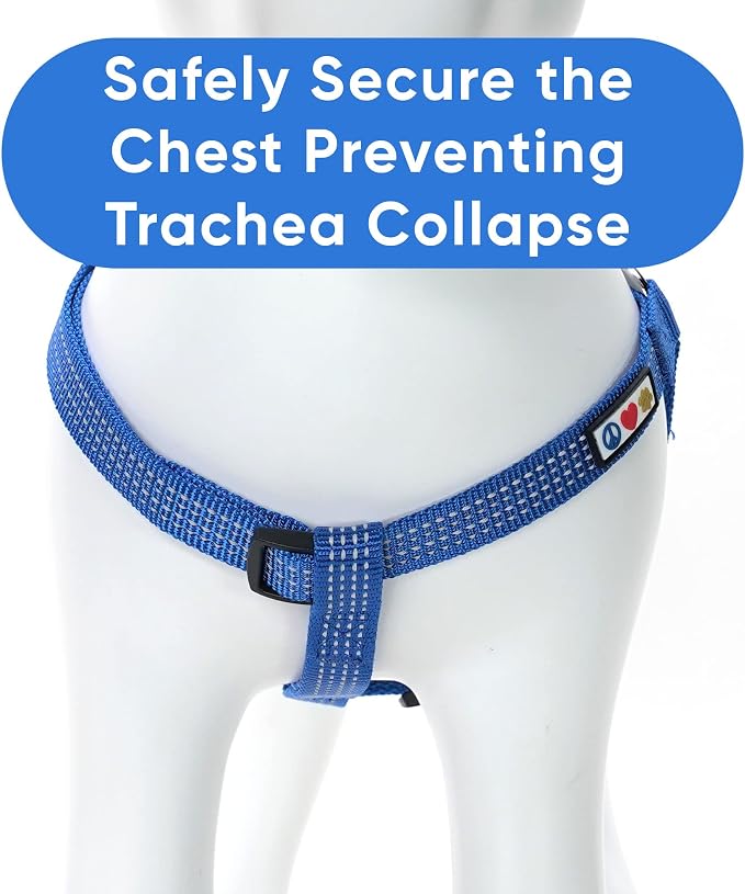 Pawtitas Reflective Step-in Dog Harness – Adjustable No-Pull Vest for Puppies to Seniors, Safe & Comfortable, S Blue