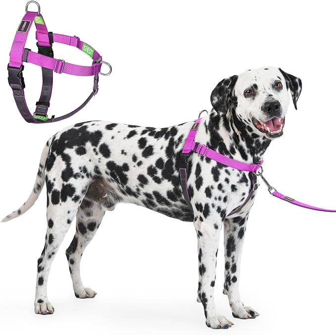 Freedom No Pull Dog Harness for Large Dogs, Easy Walker, Anti Pull with Two Stainless D-Rings, Comfortable, Sewn-in Instructions Tags for Easy Use (Purple, XL)