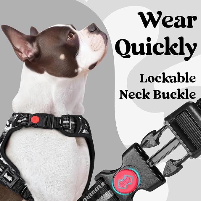 rabbitgoo Dog Harness Small Sized, No Pull Easy On & Off with 3 Buckles Pet Harness, Adjustable Soft Walking Vest with 2 Clips and Handle, Reflective for Small Dogs, Mountain Black, S