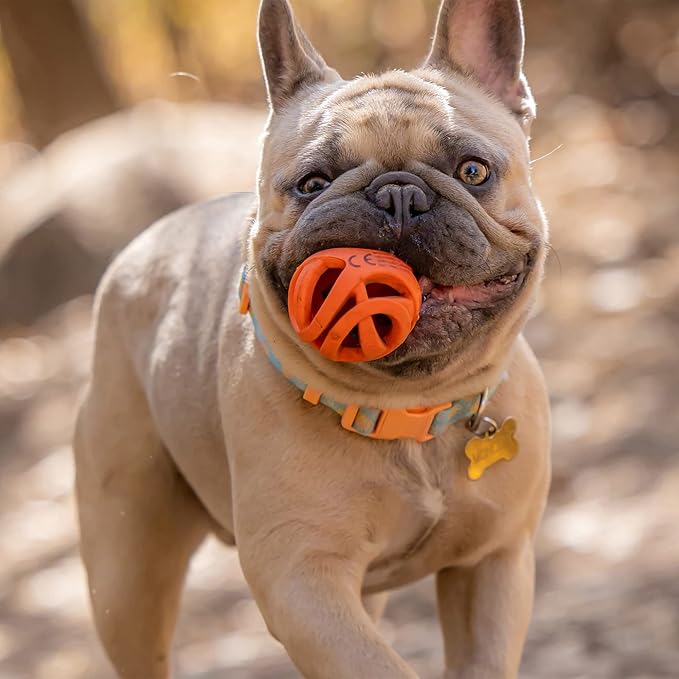 Chuckit! Dog Ball Air Fetch Breathe Easy Fetch Toy for Dogs, Medium (2.5 Inch Diameter), for dogs 20-60 lbs, Pack of 1