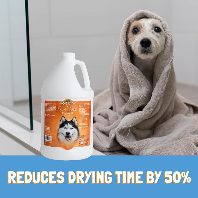 Bio-Groom So Quick Dry Dog Spray - Detangler Spray for Dogs & Cats, Shortens Drying Time, Unscented, Cruelty-Free, Made in USA, Dog Grooming Products - 16 fl oz 1-Pack