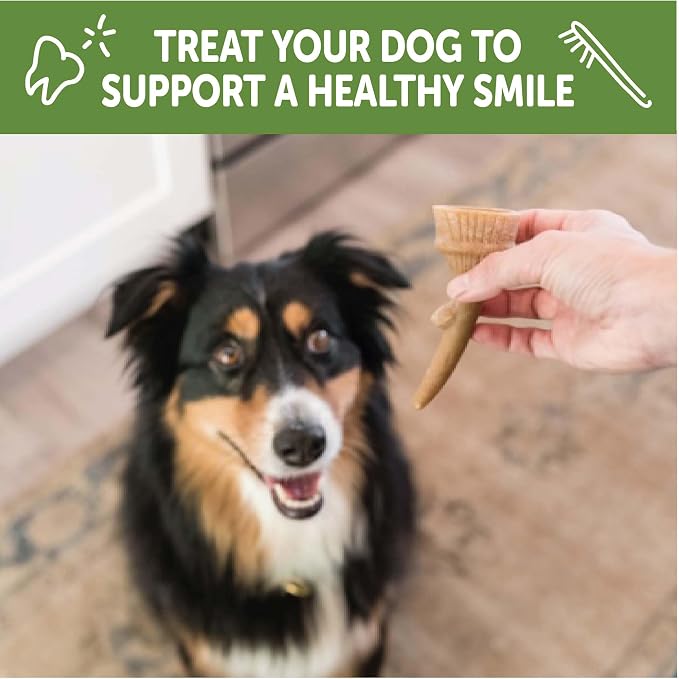 Wellness WHIMZEES Antler Occupy Natural Dog Dental Treat, Chews, Freshens Breath, Large Size, 12.7 oz Bag, 6 Count
