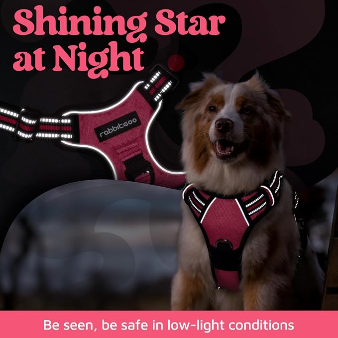 rabbitgoo Dog Harness for Large Dogs, 3 Buckles Easy On & Off No Pull Pet Vest, Soft Padded Walking Pet Harness with Control Handle, Adjustable and Reflective, Pink, XL