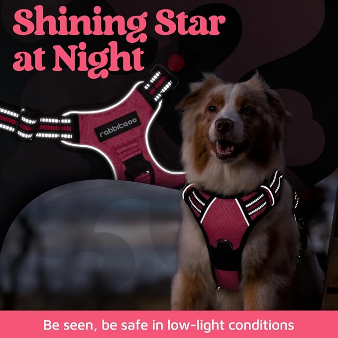 rabbitgoo Dog Harness for Large Dogs, 3 Buckles Easy On & Off No Pull Pet Vest, Soft Padded Walking Pet Harness with Control Handle, Adjustable and Reflective, Pink, L