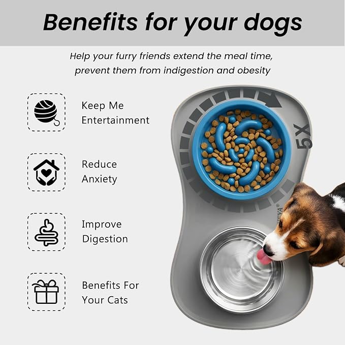 YINEYA 3 in 1 Slow Feeder Dog Bowls & Stainless Steel Food and Water Bowl with Non-Spill Dog Bowl Mat, Anti-Choking Puppy Bowls, Floor Safe & Easy Clean for Large Medium Small Dogs Cats