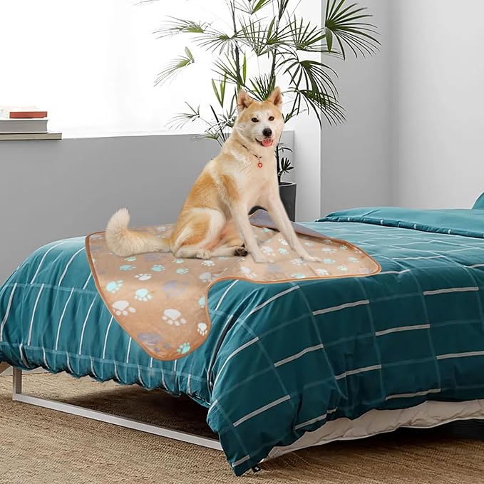 YUEPET Waterproof Dog Blankets, 2 Pack Washable Dog Blankets for Bed Couch Sofa Protector Fleece Flannel Puppy Blanket Soft Plush Reversible Throw Blanket for Medium Dogs Cats 40''×30"(Grey+Coffee)
