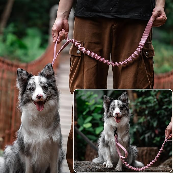 OneTigris Tactical Dog Training Bungee Leash with 2 Control Handle Quick Release Nylon Leads Rope