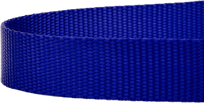 Country Brook Petz - Everyday Nylon Dog Leash - Strong, Durable, Solid Color Leash with Easy to Use Snap - 25+ Colors (1 Inch Wide, 6 Foot, Bright Royal Blue)