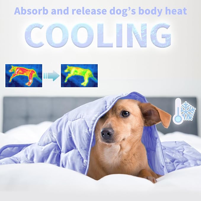 NWK Dog Cooling Blanket, Q-Max>0.345, Ice Silk Cool to Touch Material, Reversible Breathable Bed Cover, Furniture Protector Couch Sofa for Summer, Machine Washable (Lavender, 60'' X 80'')