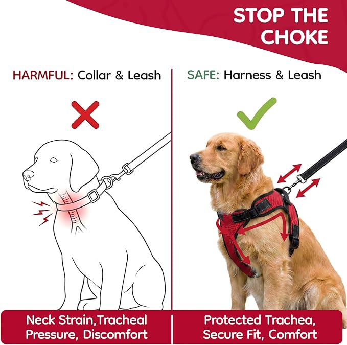 No Pull Reflective Adjustable Dog Harness With Handle- Comfortable Soft All Weather Mesh, Easy On Puppy Harness For Small Medium and Large Dogs (Red) X-Small