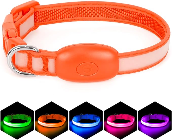 Light up Collar for Small Dog,Vizpet XS Adjustable Size Nylon Collar USB Rechargeable Bright Safety Pet Collar for Cats Small Dogs (Orange, X-Small[ 8.66-11.9 inch/22cm-30cm])