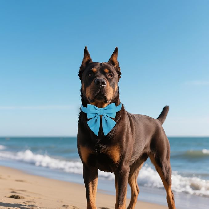 Maca Bates Sky Blue Dog Collar with Cute Solid Sailor Bow Tie for Extra Small Girl Boy Dogs,Adjustbale Durable Breakaway Soft Collars with Bowtie for Female Male Puppy,Pet with Metal Buckle