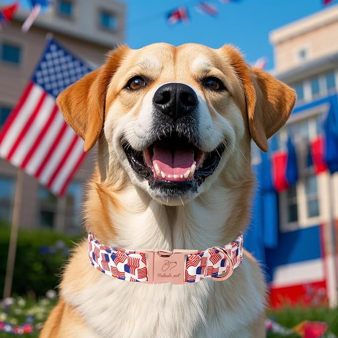 American Flag Dog Collar - 4th of July Dog Dog Collars for Medium Dogs, Adjustable Independence Day Metal Buckle Patriotic Dog Collar M