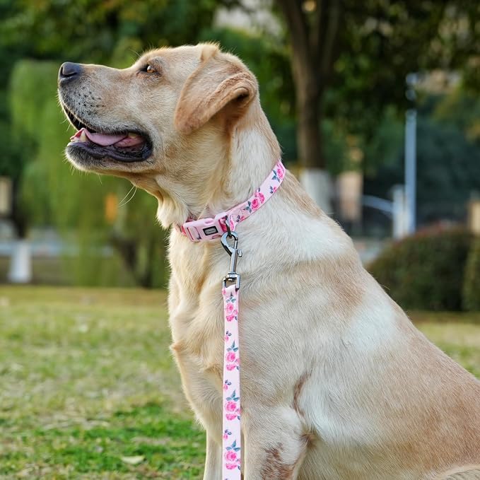 Dog Collar and Leash Set, Cute Rose Pattern, Polyester Material, 5ft Leash, for Small Dogs.(Small,Pink Rose)