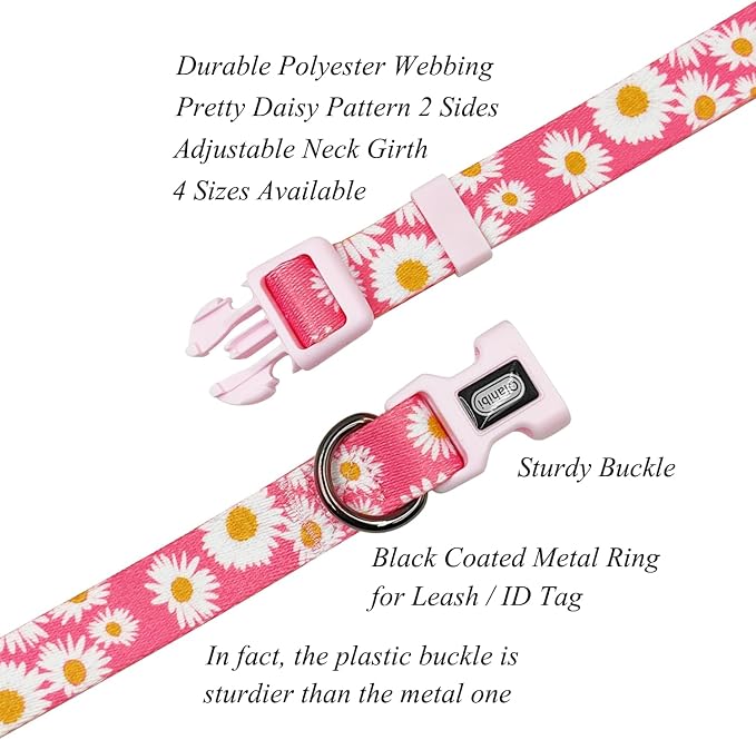 Dog Collar and Leash Set, Cute Pink Daisy Pattern, Polyester Material, 5ft Leash, for Puppy Dogs.(Extra Small, Pink Daisy)