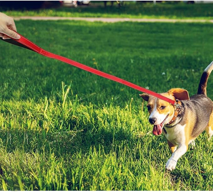 FunTags 4FT Red Reflective Dog Leash for Medium & Small Dogs Training, Soft Padded Handle Comfortable Grip, Heavy Duty Nylon, Reflective for Night Walking, 3/4in Wide