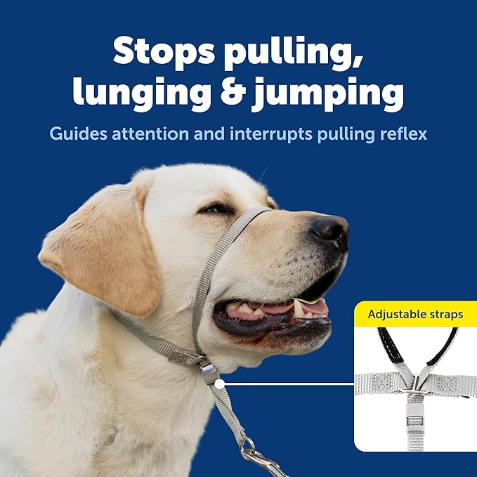 PetSafe Gentle Leader No-Pull Dog Headcollar - The Ultimate Solution to Pulling - Redirects Your Dog's Pulling for Easier Walks - Helps You Regain Control - Large, Black