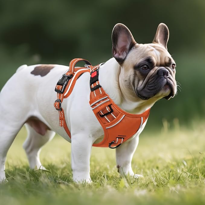 Timos Dog Harness Small Sized, No Pull Pet Harness with Neck Lockable Snap, No Choke Front Clip Reflective Vest, Adjustable Metal Rings 3 Buckles, Easy Control Handle for Small Dogs Pumpkin Orange S