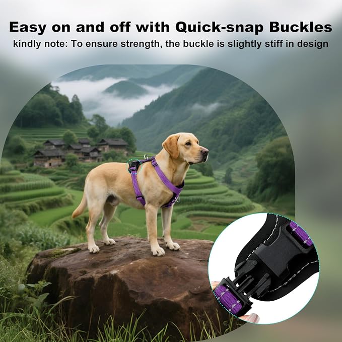 Plutus Pet Adjustable No Pull Dog Harness with Leather Accents, Heavy Duty Reflective Nylon Vest for Training, Hiking, Easy Walk Harness for Small, Medium, Large Dogs (Purple, S)