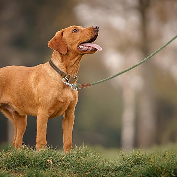 Mile High Life Leather Dog Leash, Heavy Duty Strong Genuine Leather Handle Rope Leash Soft and Comfortable for Small Medium Large Dogs (Olive Green, 48 Inch)
